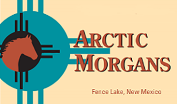 Arctic Morgans
