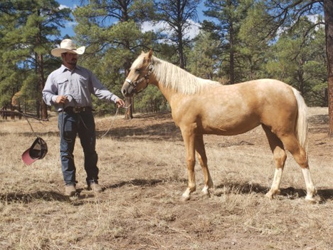 Arctic Patsy Montana